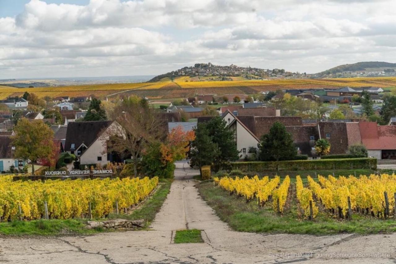 Villa Le Logis St Pere Sancerre Esterno foto