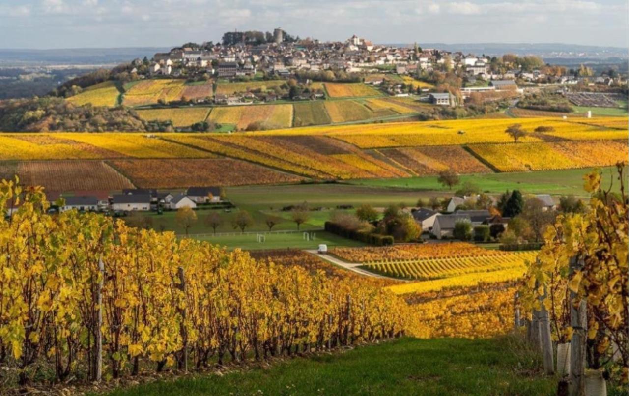 Villa Le Logis St Pere Sancerre Esterno foto