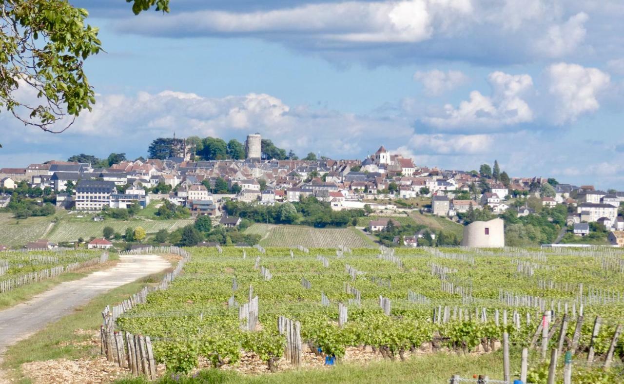 Villa Le Logis St Pere Sancerre Esterno foto